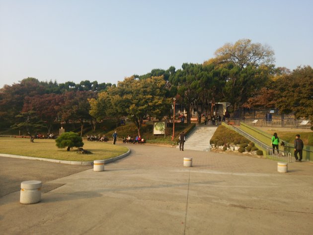 達城公園内の風景